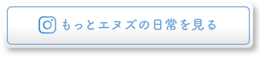 もっとエヌズの日常を見る